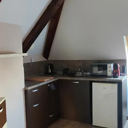 Rosen Aparthotel 4*