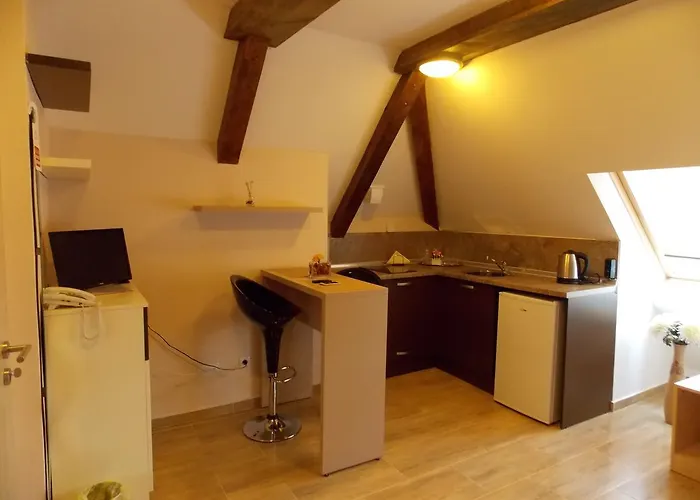 公寓式酒店 Rosen 索菲亞